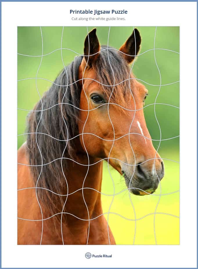 Free Printable Jigsaw Puzzles maker. free jigsaw puzzle printable PDF. DIY Puzzles for Adults.